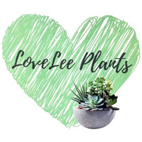Logo 8